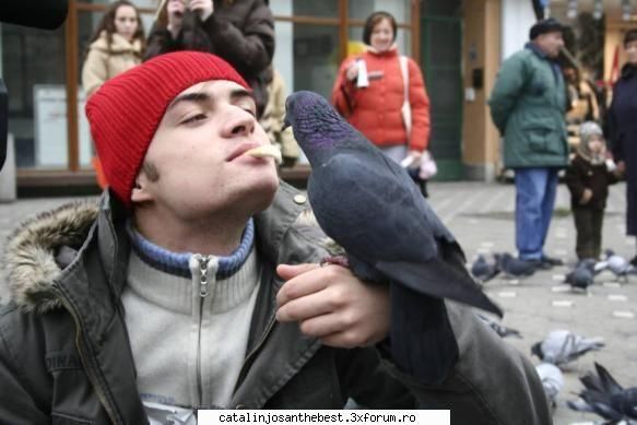 dar oare exista vre'un anti-fan ? eu cred ca toata lumea il place pe cata  :) reguli!